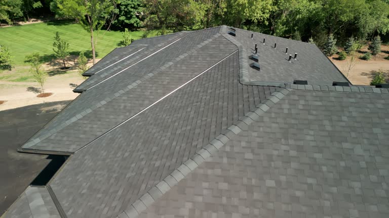 Best Chimney Flashing Repair  in Nitro, WV